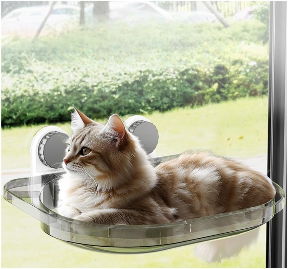 Transparent Cat Hammock Window Cat Bed