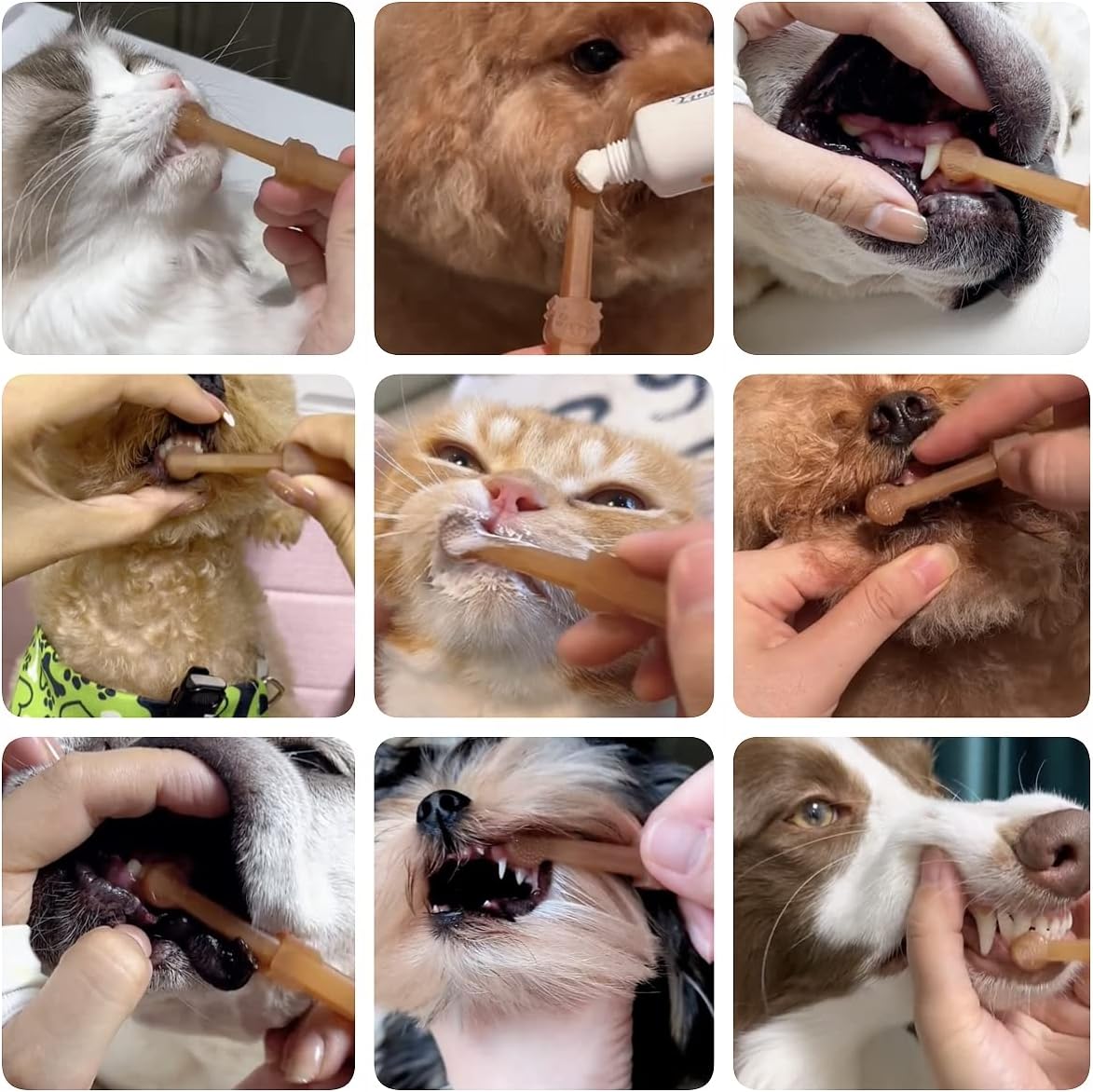 Pet Silicone Toothbrush