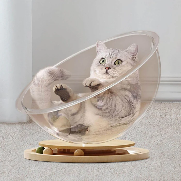 Space Capsule Cat Bed with Catnip Ball in Track