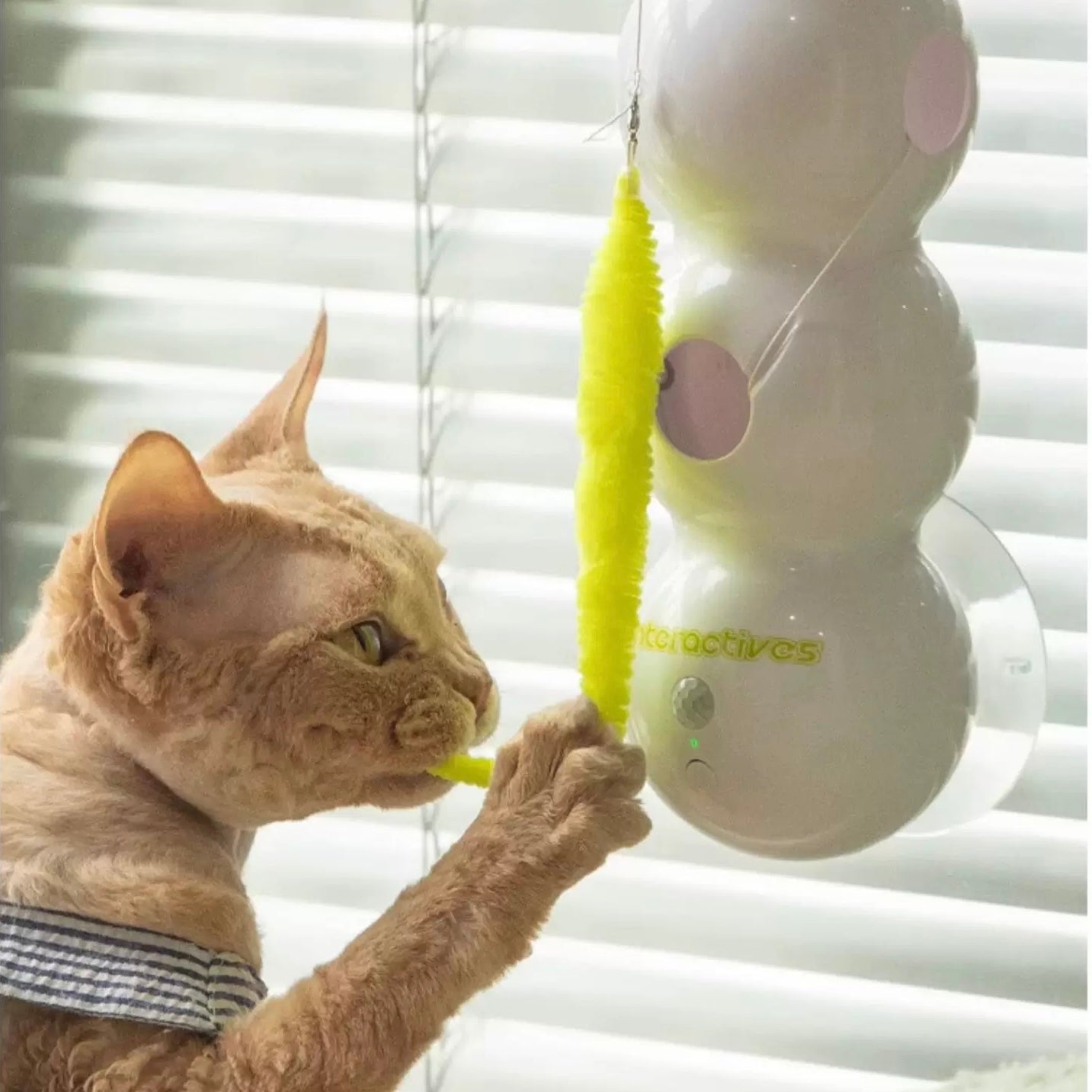 Smart sensor cat toy