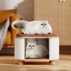 2 in 1 Stool Cats Bed