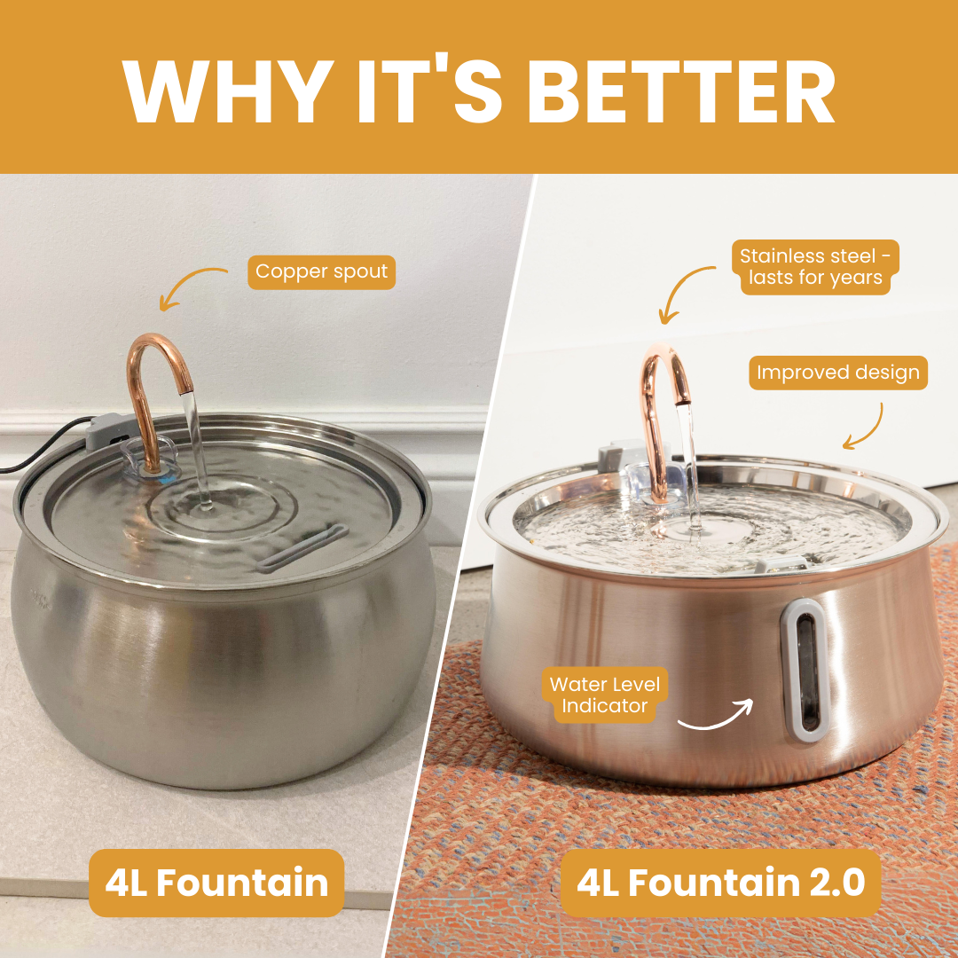 Automatic Pet Fountain Dog Water Dispenser